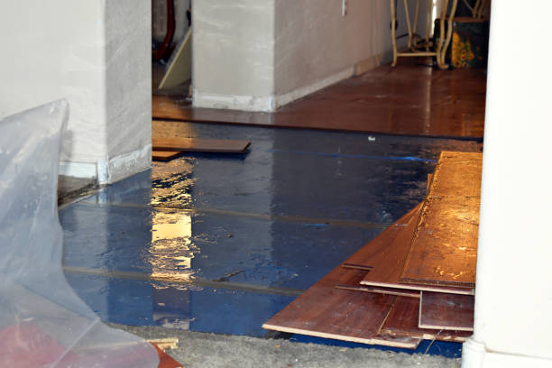 Professional Burst Pipe Water Damage technician working in Lake Nebagamon, WI